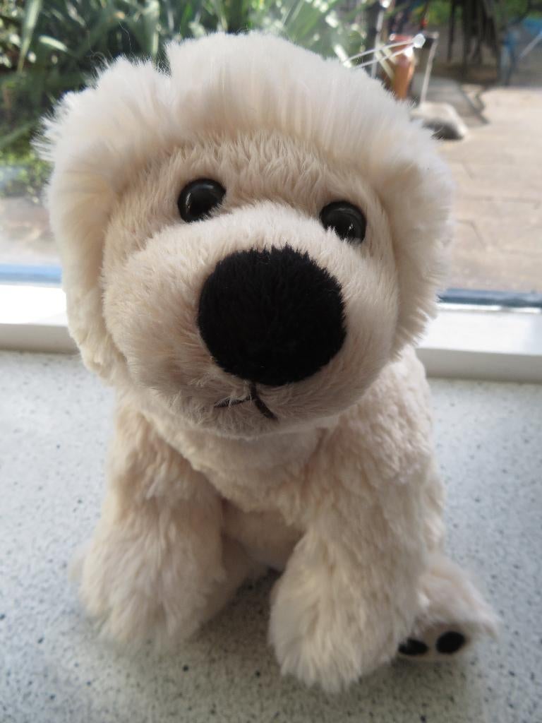 Witte beer ijsbeer merk Bukowski meet ca 35 cm breed, Ophalen of Verzenden, Zo goed als nieuw, Beer