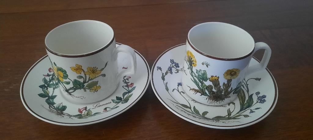 Villeroy & Boch kop en schotels, Antiek en Kunst, Ophalen of Verzenden