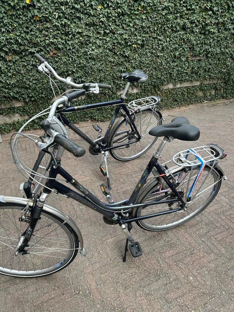 Gazelle Dames- en Herenfiets - Framemaat 57 en 61, 56 cm of meer, Ophalen, Gebruikt, Gazelle