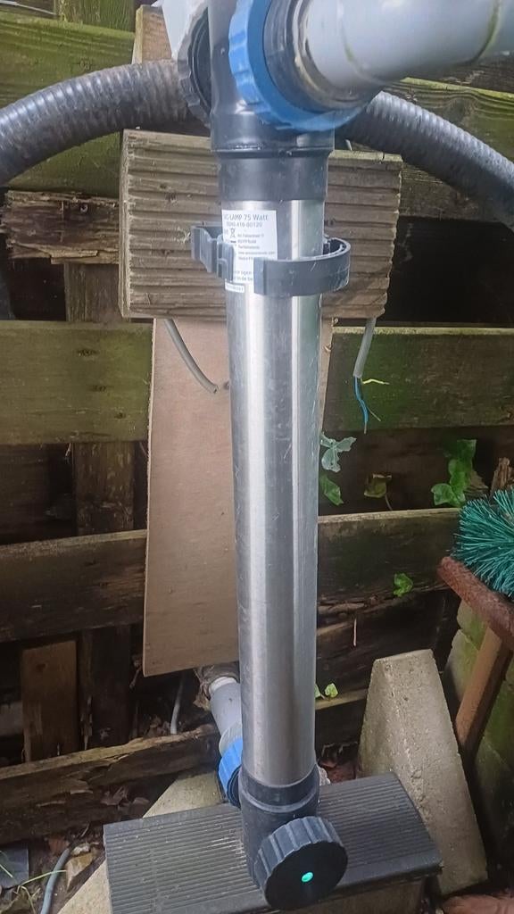 Koikarpers, Tuin en Terras, Vijvers, Ophalen of Verzenden, Gebruikt