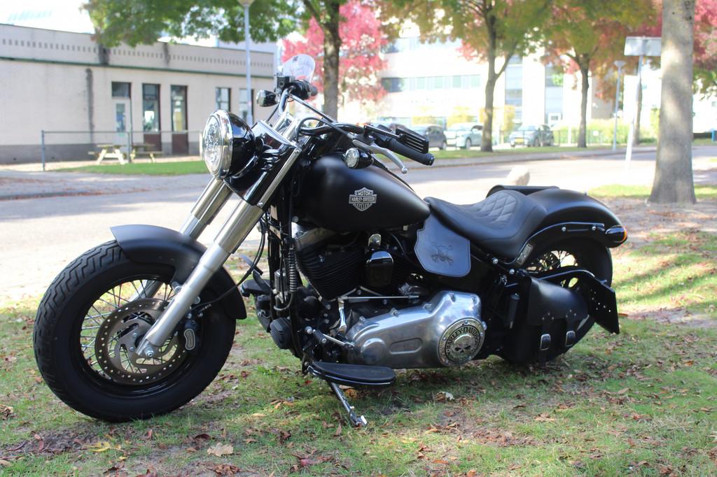 Harley-Davidson Softail FLS Softail Slim - foto 2