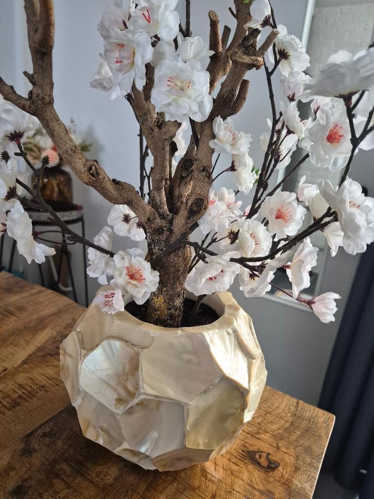 Schelpen Vaas, Ophalen, Rond, Zo goed als nieuw, Aardewerk