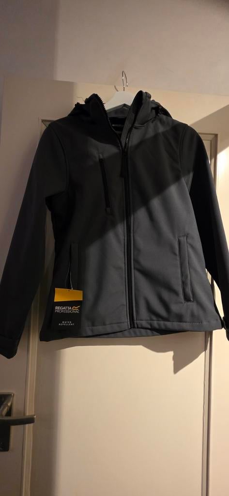 Regatta Professional Softshell Jas maat 36, Regatta, Nieuw, Ophalen of Verzenden, Maat 36 (S)