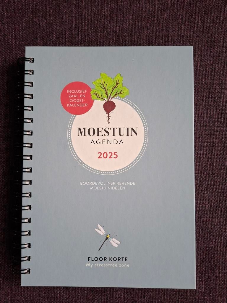 Floor Korte - 2025, Boeken, Nieuw, Ophalen of Verzenden, Floor Korte, Tekenen en Schilderen