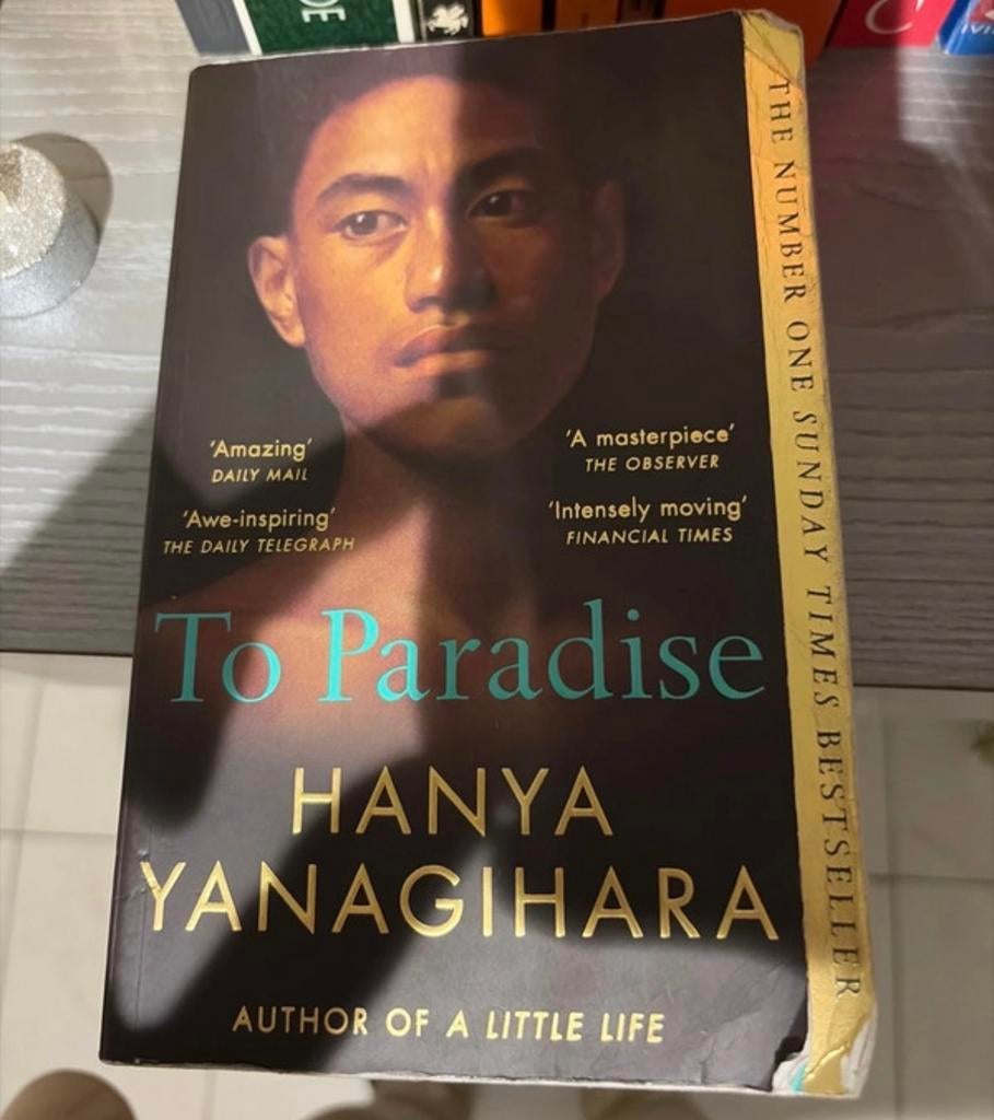 To Paradise - Hanya Yanagihara (Engels), Boeken, Verzenden, Gelezen, Europa overig