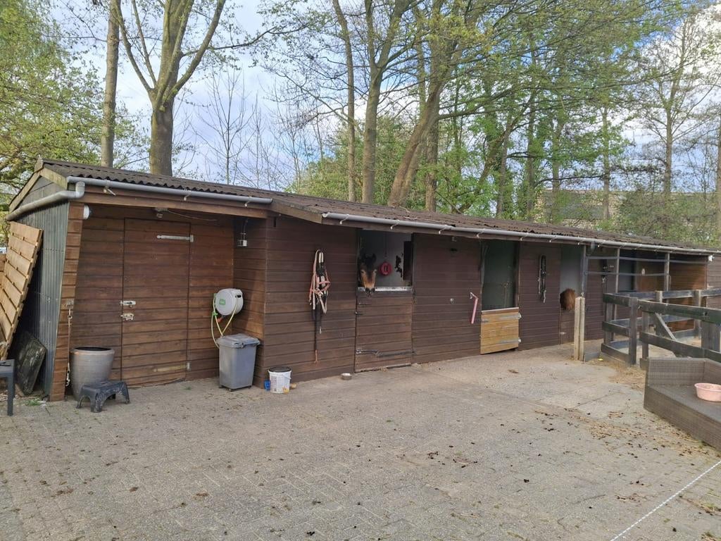 Stal met weidegang voor 1 pony, Weidegang