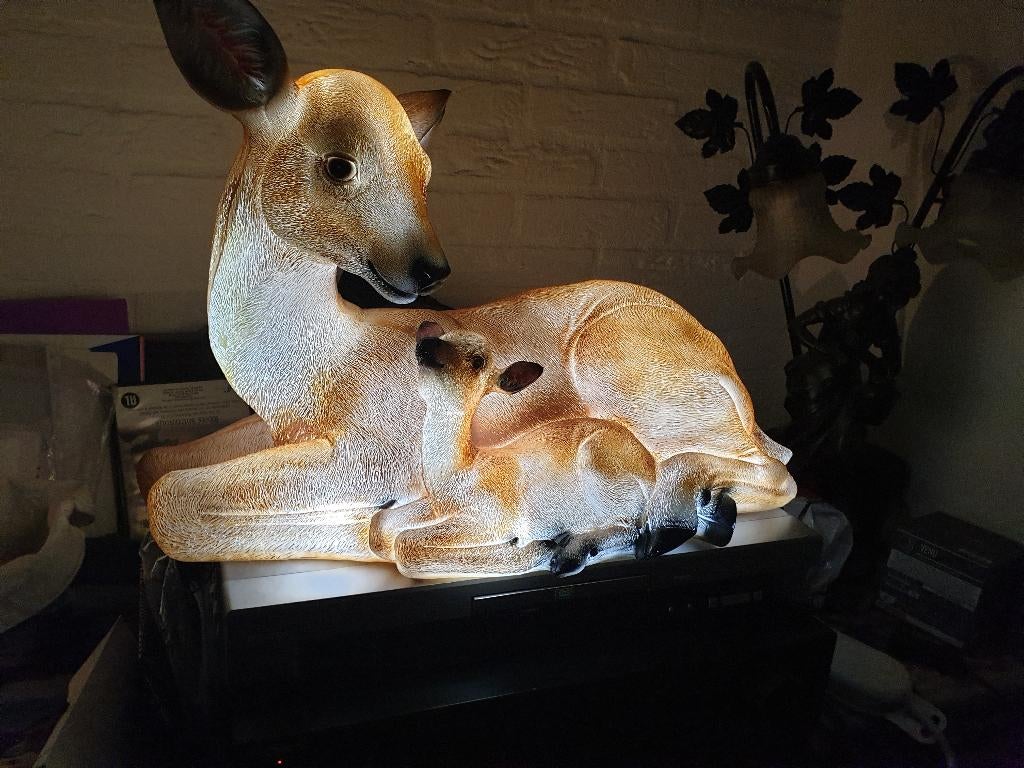 mooi beeld met verlichting, Ophalen, Nieuw