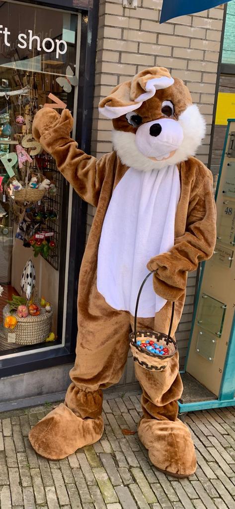 Pasen Paashaas pak huren € 30,- alle maten huur pasen haas, Ophalen, Zo goed als nieuw, Overige