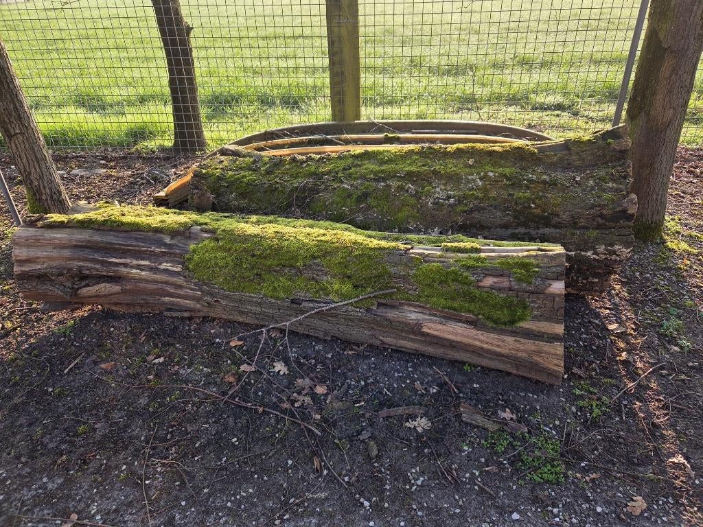 Brandhout beuk, Minder dan 3 m³, Ophalen