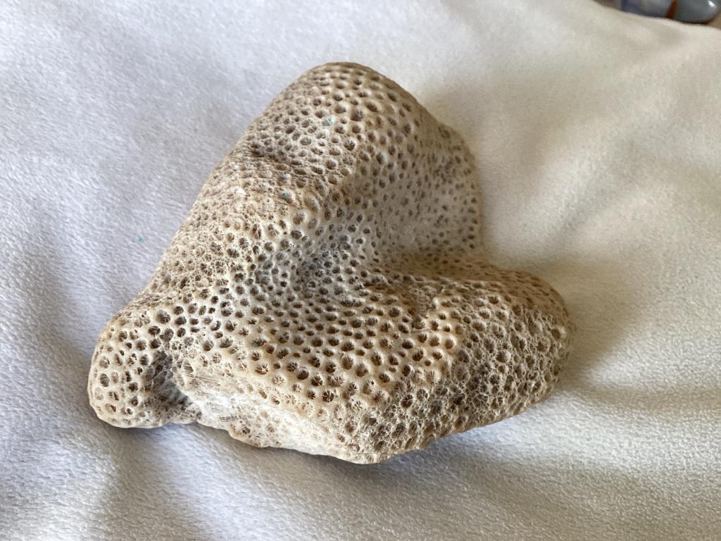 Woestijnroos, Ophalen of Verzenden, Mineraal