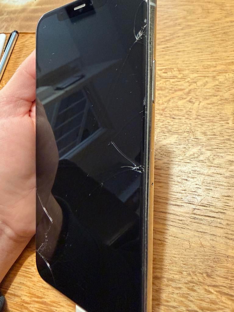 IPhone 11 Pro Max (256 GB), 256 GB, Ophalen of Verzenden, Zilver, Gebruikt