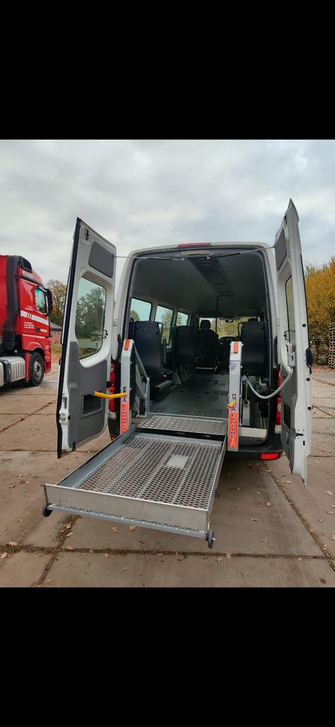 „LINEARLIFT" + Prüfbuch nach BGR 500, Ophalen