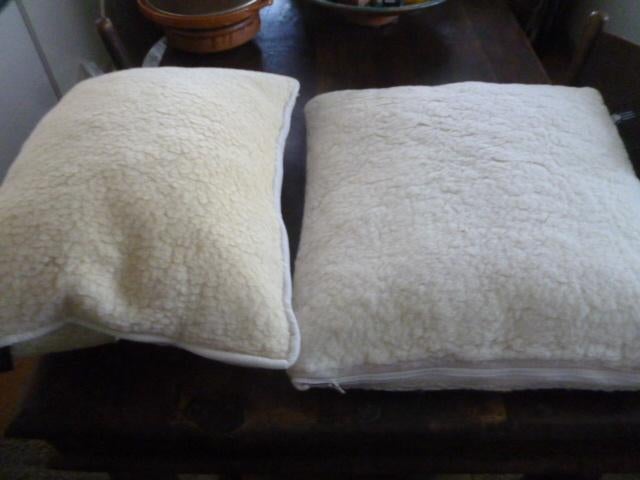 2 zuiverwollen hoofdkussens NIEUW dus onbeslapen, Huis en Inrichting, Slaapkamer | Beddengoed, Ophalen of Verzenden, Nieuw, Eenpersoons