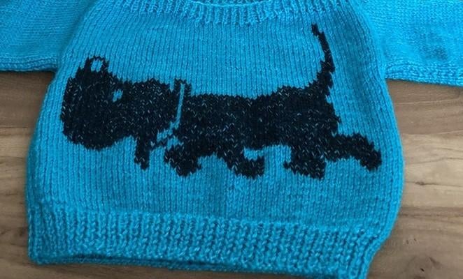 Takkie trui breipatroon, Ophalen of Verzenden, Zo goed als nieuw, Breien, Patroon of Boek