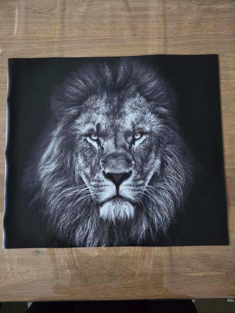 Inductieplaat beschermer, Ophalen, Nieuw