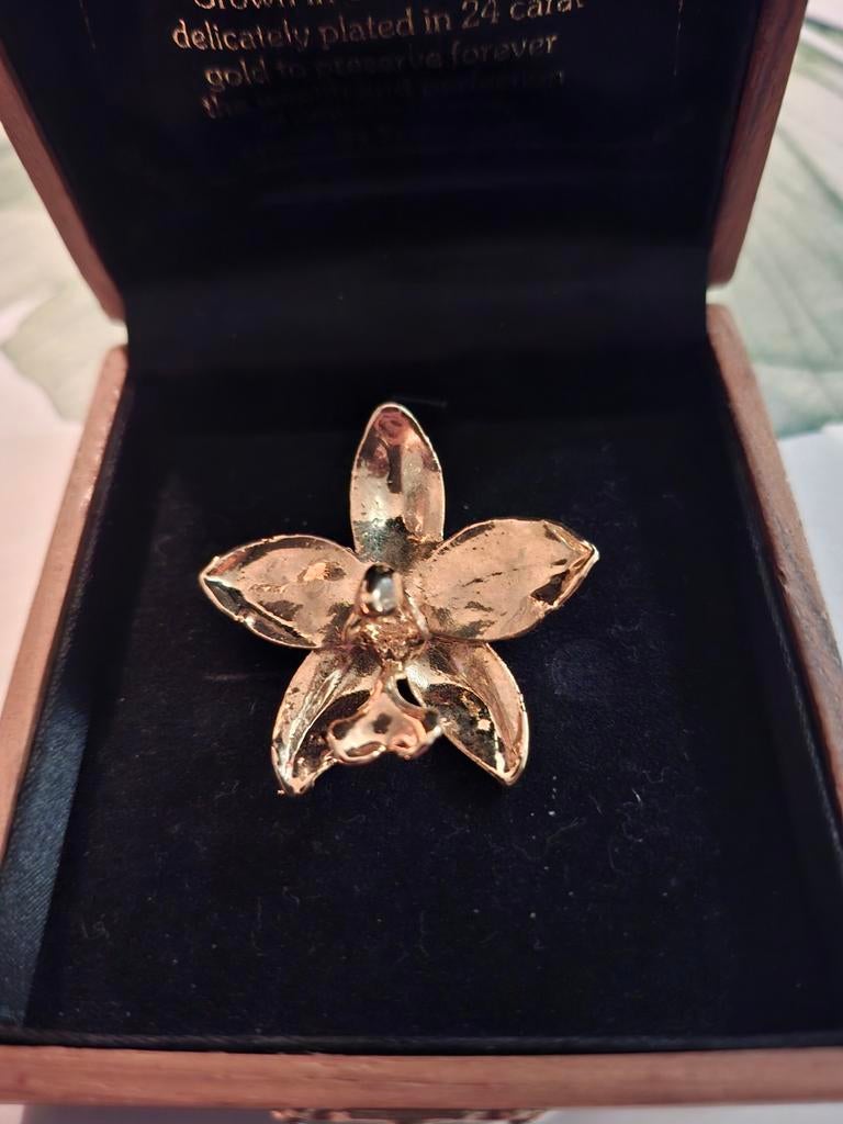 Gouden Orchidee Broche uit Thailand, Minder dan 4 cm, Nieuw, Ophalen of Verzenden, Goud