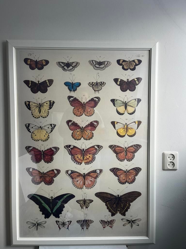 Ikea virserum XL lijst met vlinder plaat poster, Ophalen