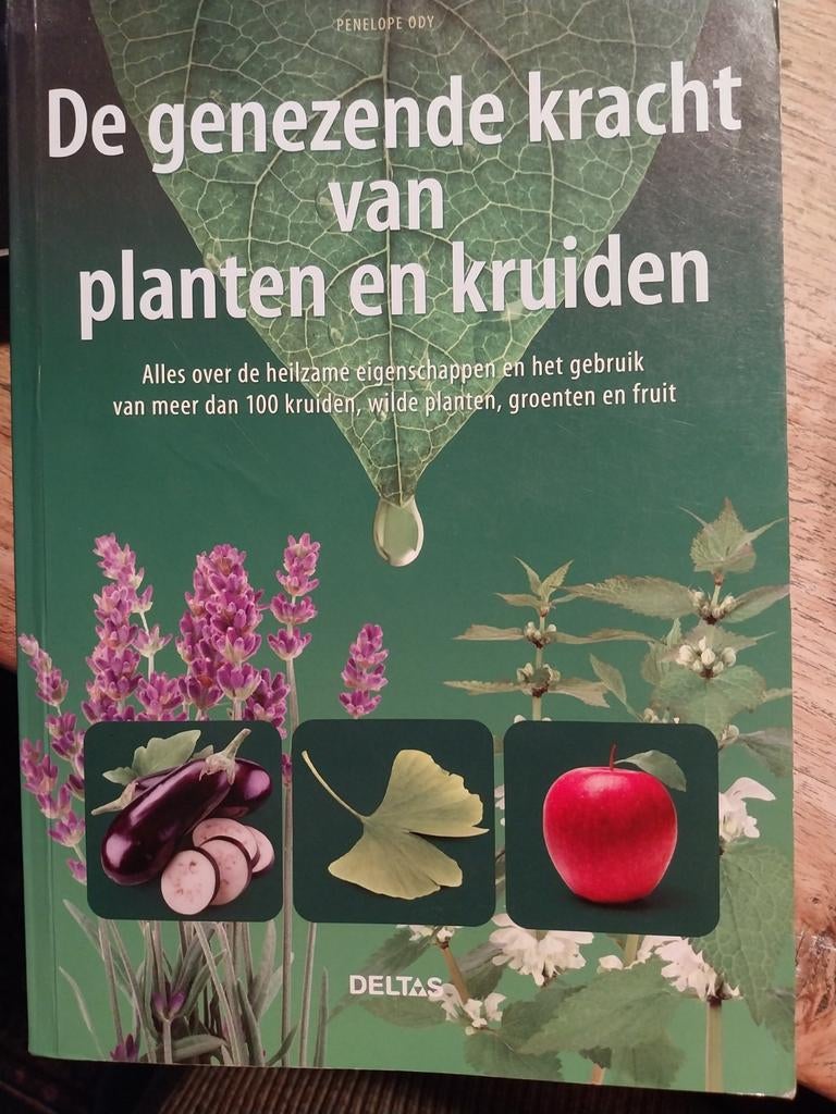 De genezende kracht van planten en kruiden - Penelope Ody, Ophalen of Verzenden, Zo goed als nieuw, Penelope Ody
