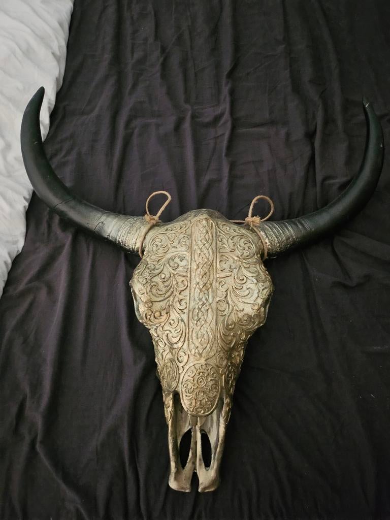 Skull, Ophalen of Verzenden, Zo goed als nieuw