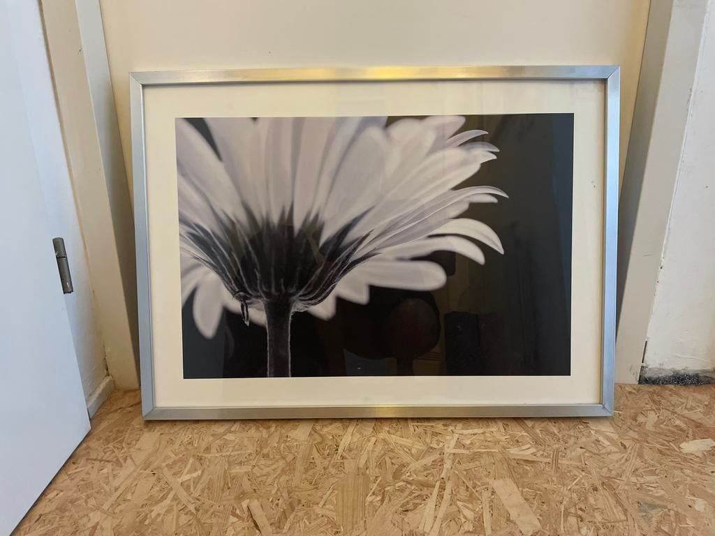 Schilderijlijst, Ophalen of Verzenden, Zo goed als nieuw, Hout, Minder dan 50 cm