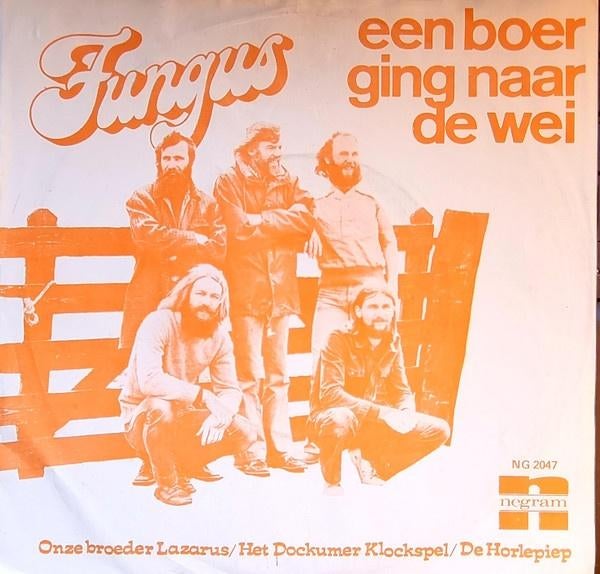 Fungus single, Ophalen of Verzenden, Zo goed als nieuw, Overige formaten, Nederlandstalig