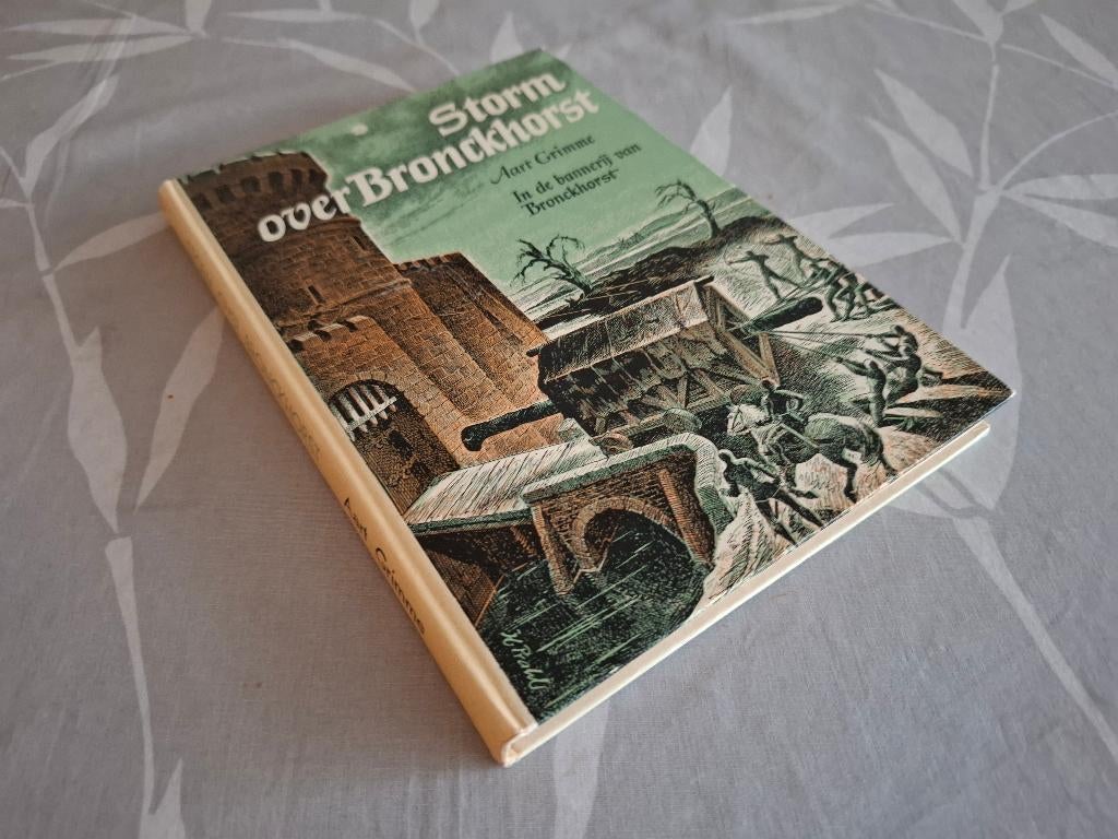 STORM over BRONCKHORST  - Aart Grimme (Historisch verhaal), Ophalen of Verzenden, Zo goed als nieuw, Fictie