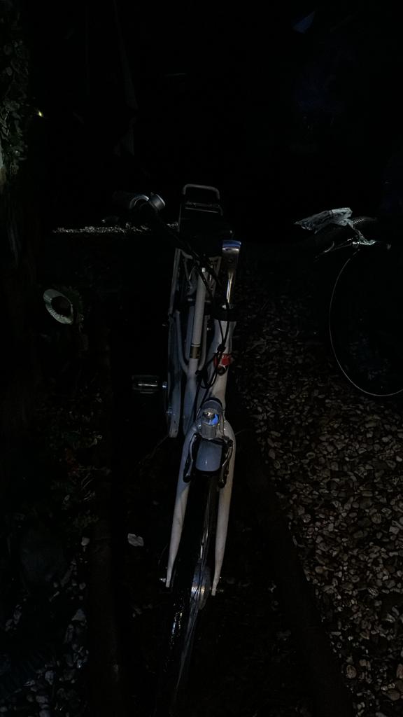 Stella Fiore Elektrische Fiets - Comfortabel en Stijlvol, Overige merken, Gebruikt, Ophalen of Verzenden, 51 tot 55 cm