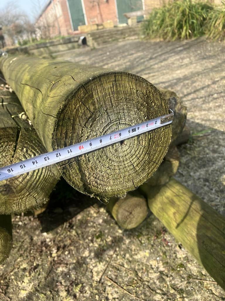 Oude meerpalen te koop, Gebruikt, Balk, Overige houtsoorten, Ophalen