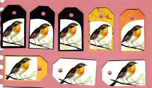 0212) vogels labeltjes, Ophalen of Verzenden, Zo goed als nieuw, Vogel, Overige typen