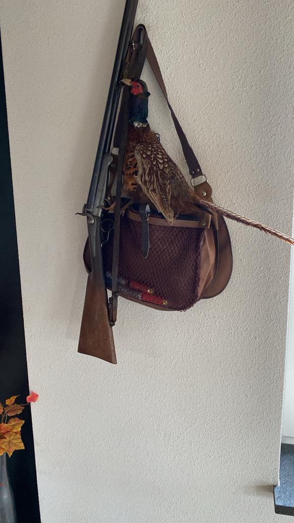 Prachtig Jachttafereel: Antiek   Geweer, JagersTas & Fazant, Ophalen, Gebruikt