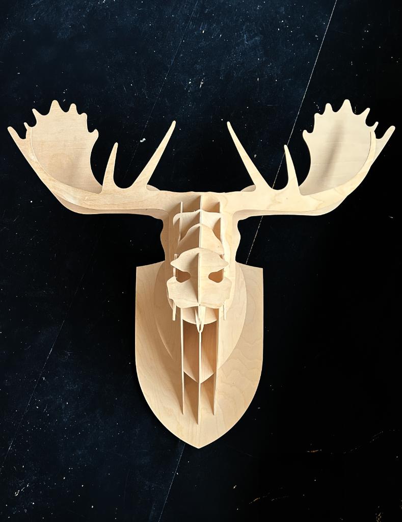 Zeer grote eland kop 3D muurkunst (bijna 100 cm breed), Ophalen