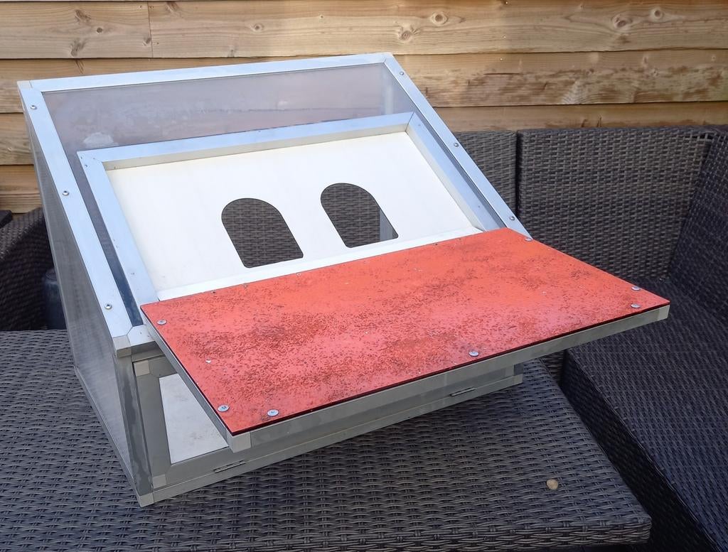 Spoetnik , postduiven, Meerdere dieren, Postduif