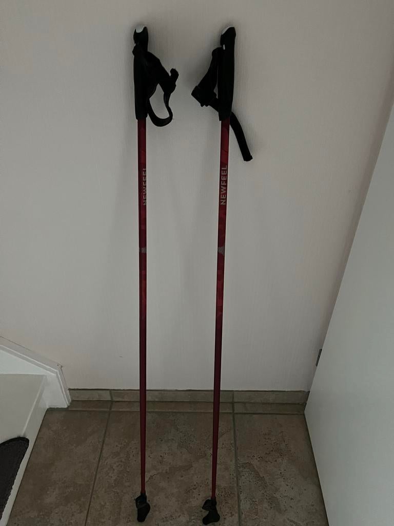 Wandelstokken, Ophalen of Verzenden, Zo goed als nieuw