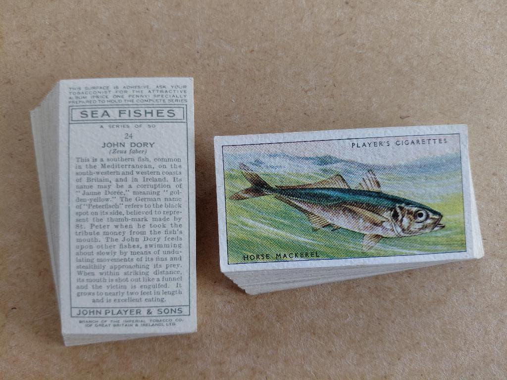 Sea Fishes complete set 50 cigarette cards vissen 1935, Ophalen, Gebruikt