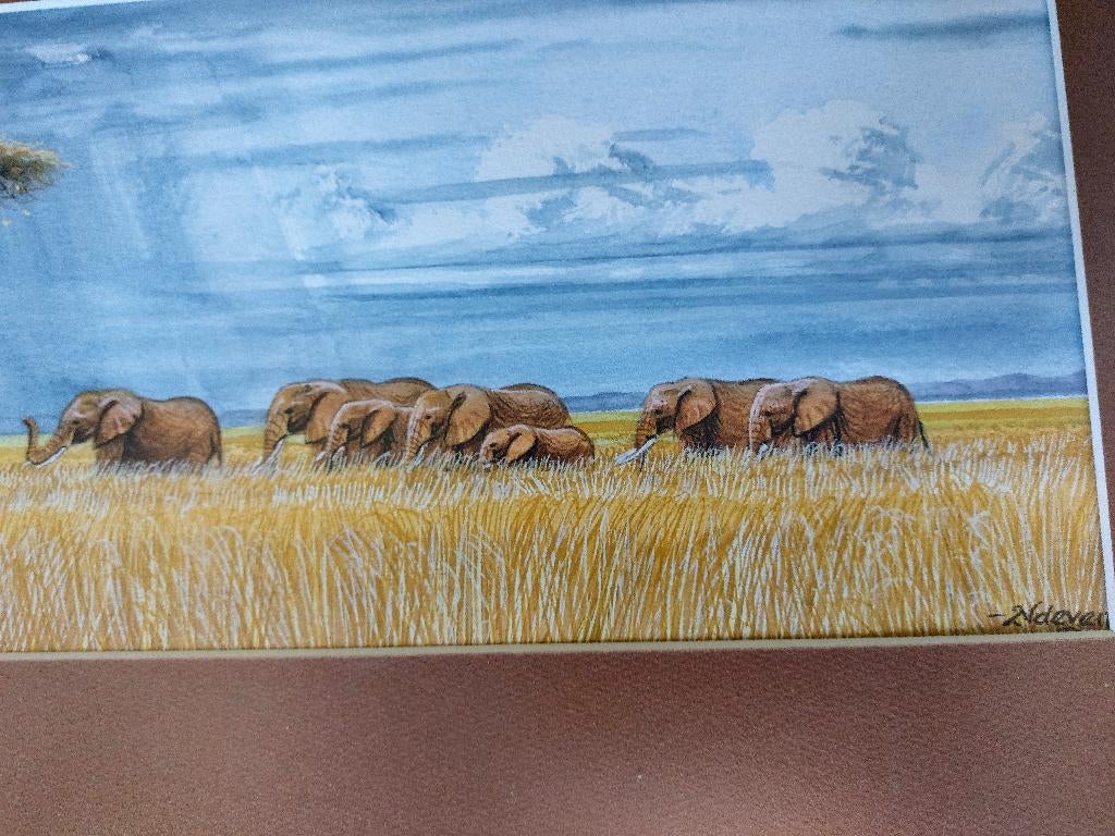 Aquarel Nganga Ndeveni, Antiek en Kunst, Kunst | Niet-Westerse kunst, Ophalen of Verzenden