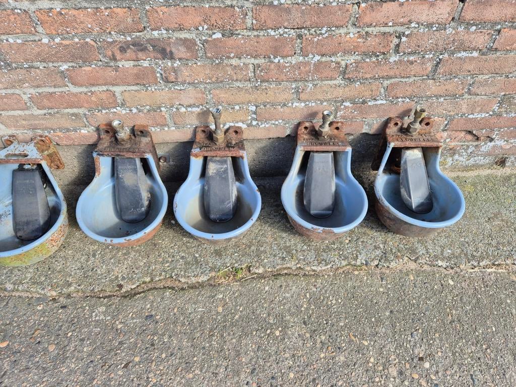 Waterbak voor paarden stal