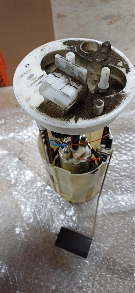 Brandstofpomp 2.8 jtd ducato, Ophalen of Verzenden, Nieuw