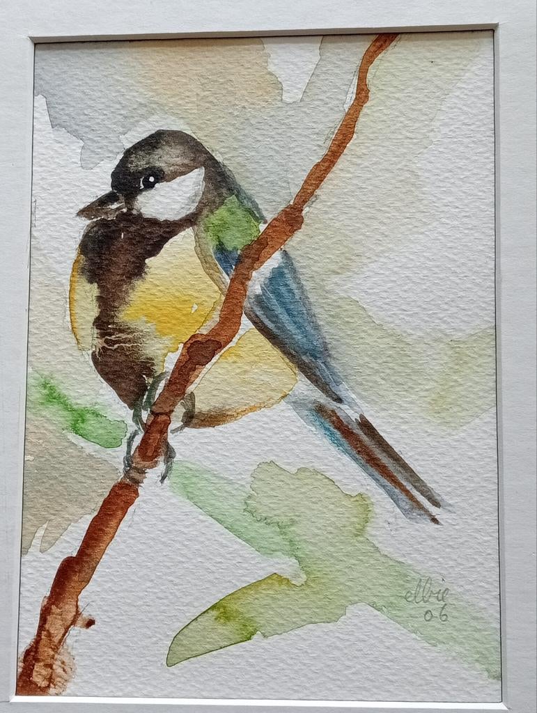 Aquarel Koolmees 2006, Ophalen of Verzenden