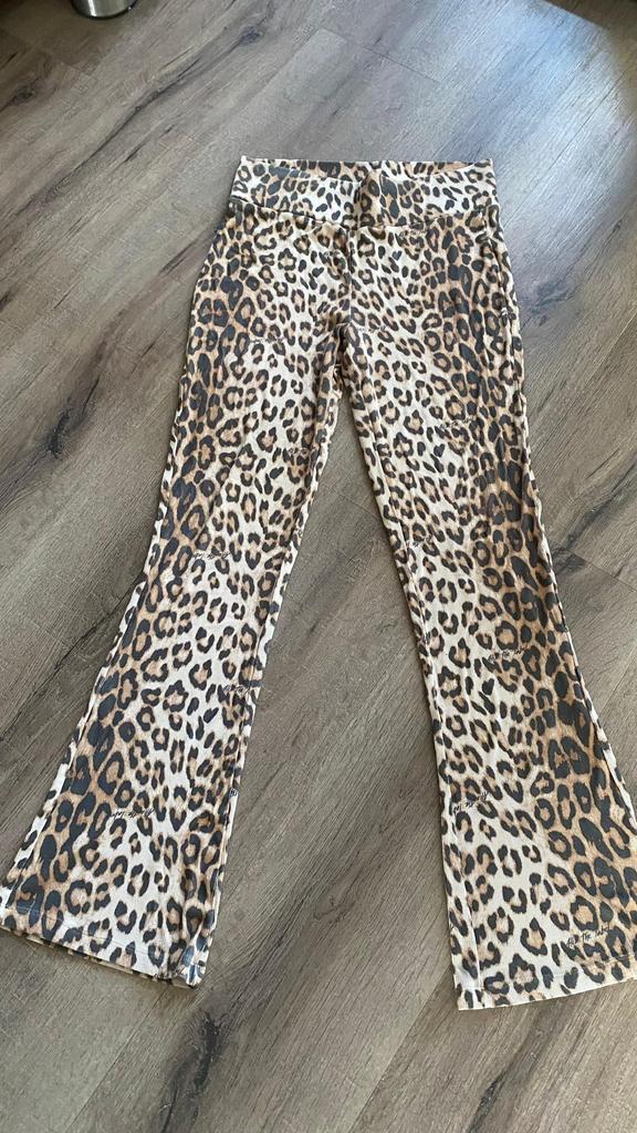 Alix the label leopard flair stretch trouser XL, Ophalen, Maat 46/48 (XL) of groter, Zo goed als nieuw, Lang