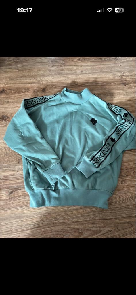 Reinders truien 2 stuks: Zwart en mintgroen, Ophalen of Verzenden, Zo goed als nieuw, Maat 38/40 (M), Zwart