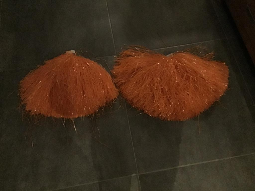 Cheerleader, Ophalen, Zo goed als nieuw, Jongen of Meisje