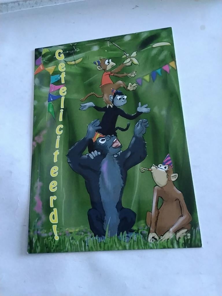 GEFELICITEERD. AAPJES VERSIEREN VOOR HET FEEST, Ophalen of Verzenden