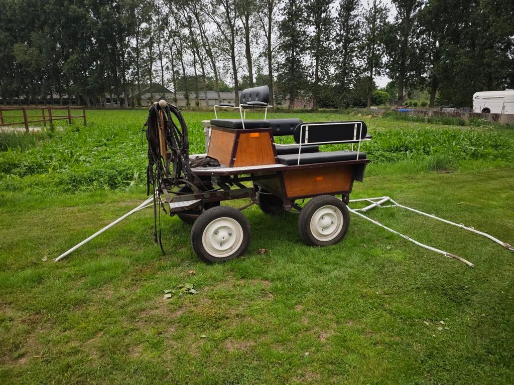 Recreatiekoets paard of ponny enkel span of twee span, Dieren en Toebehoren, Ophalen, Gebruikt, Recreatie
