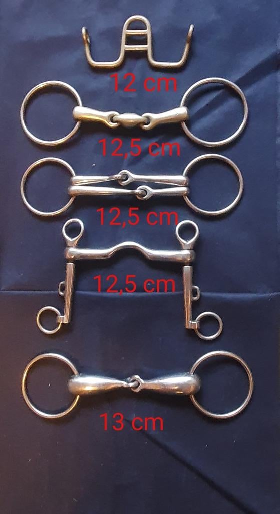 Diverse bitten, Dieren en Toebehoren, Ophalen of Verzenden, Overige soorten