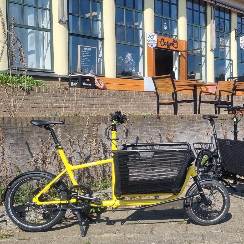 Muli Muskel Belt Fresh Lemon op voorraad!, Overige merken, Verzenden, Nieuw, Info@cafecadans.nl