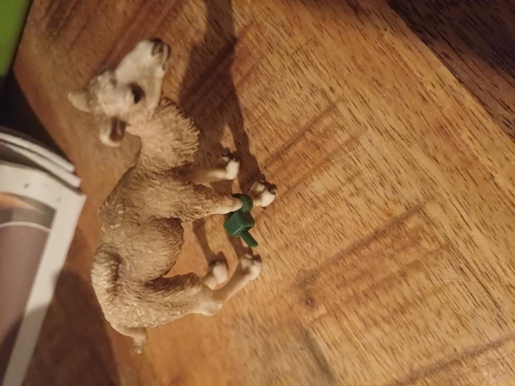 Schleich kameel veulen, Verzamelen, Dierenverzamelingen, Ophalen of Verzenden, Zo goed als nieuw, Boerderijdier, Beeldje of Figuurtje