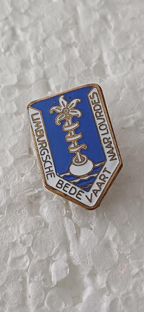 Limburgsche bedevaart naar Lourdes, Ophalen of Verzenden, Zo goed als nieuw, Overige onderwerpen