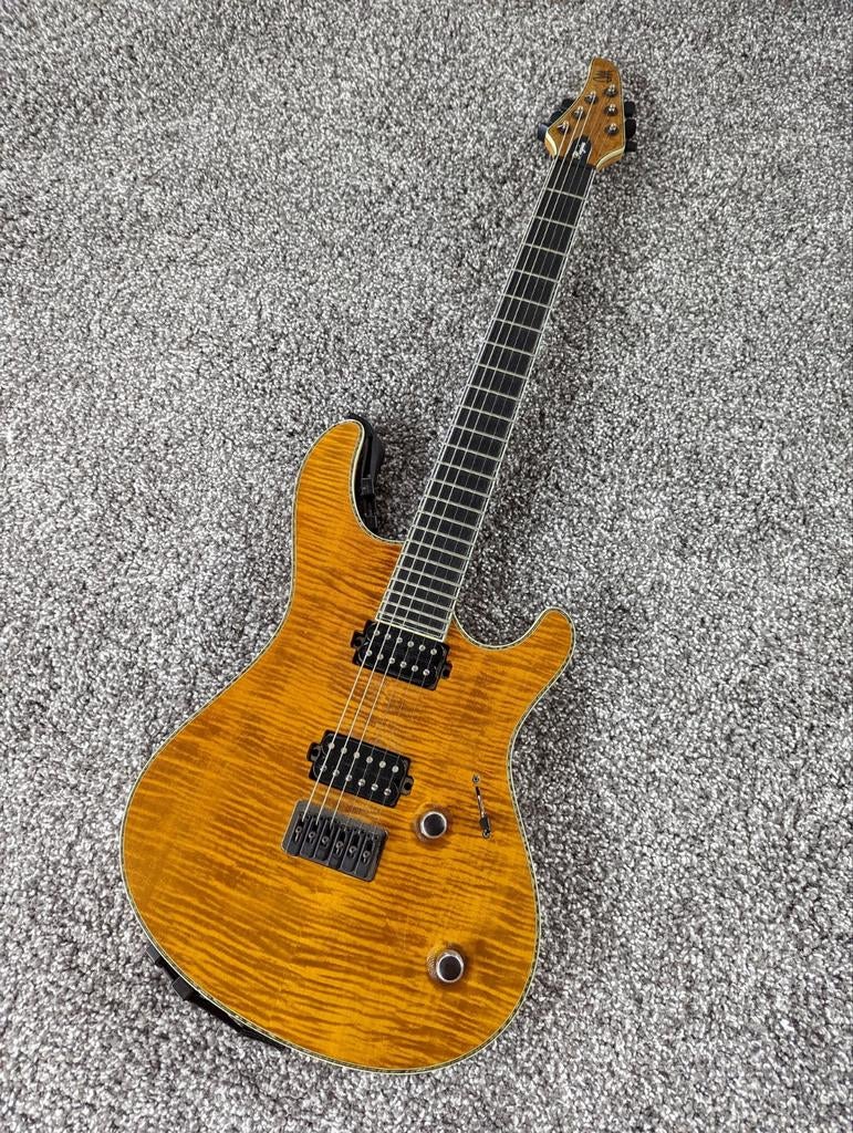 Mayones Regius, Ophalen of Verzenden, Gebruikt, Solid body