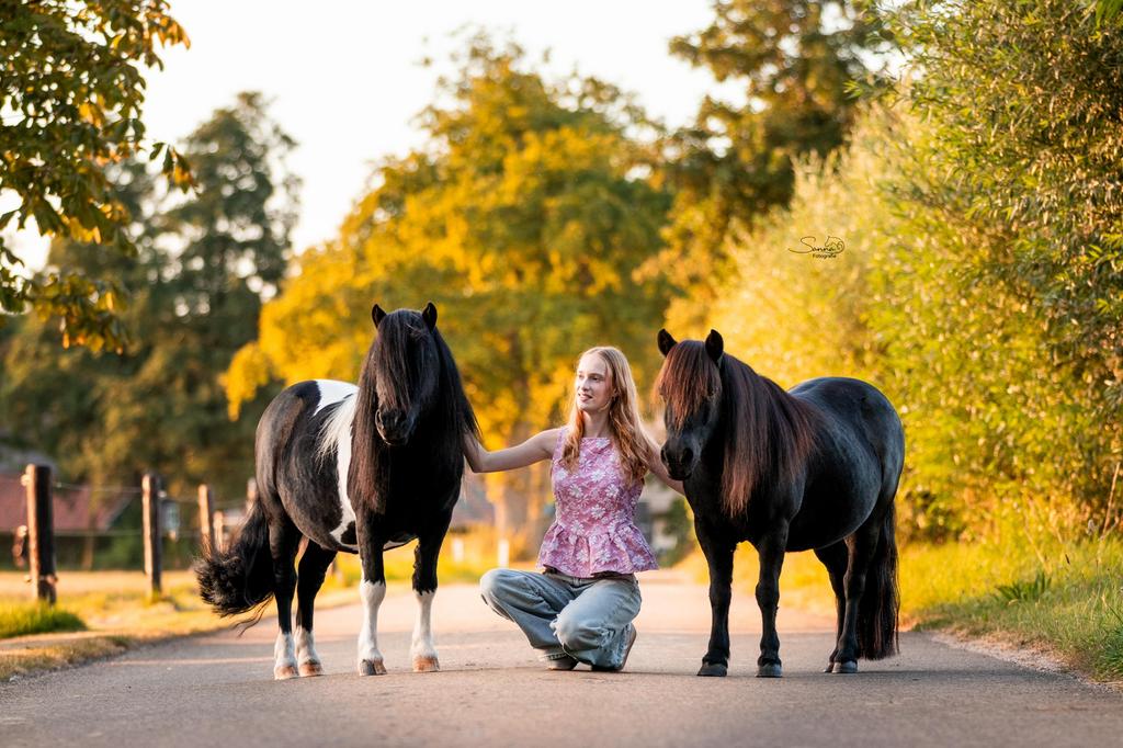 Verzorg-/bijrijdpaard gezocht, Verzorging of Verzorgpony's
