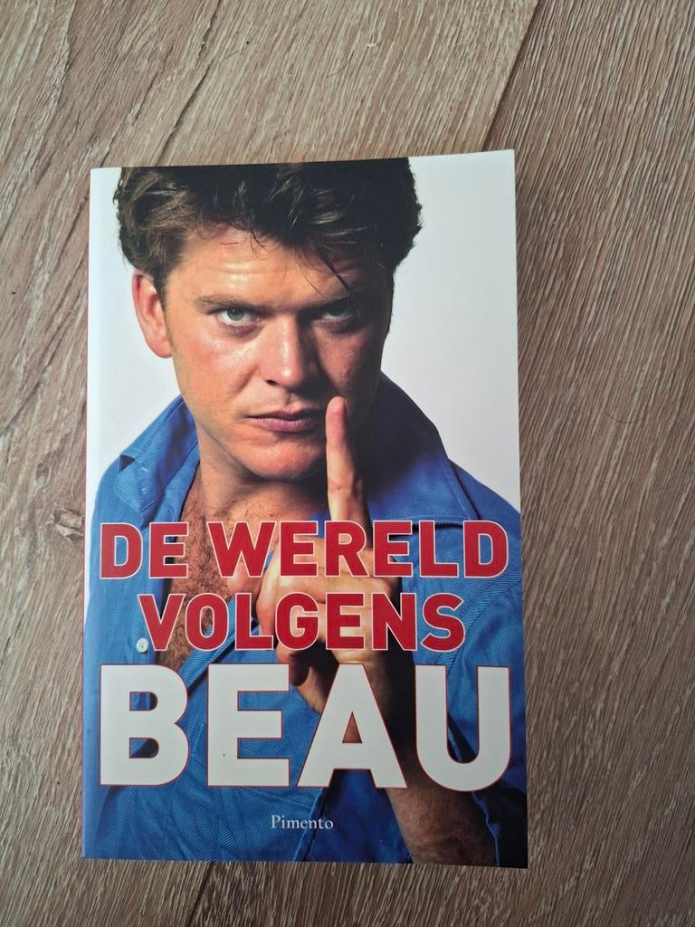 De Wereld Volgens Beau - 1e druk zgan, Ophalen of Verzenden, Zo goed als nieuw